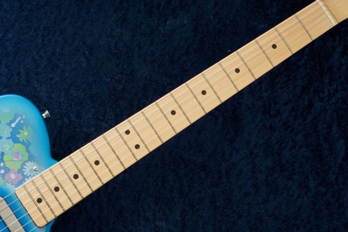 Fender Telecaster 2019 カスタム多数 セミハードケース付 Fender Custom Shop S23 Limited 1972 Telecaster Thinline