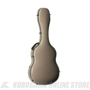 Fender GDC200CEエレアコ　ハードケース付き Fender GDC200CEエレアコ ハードケース付き 侮り