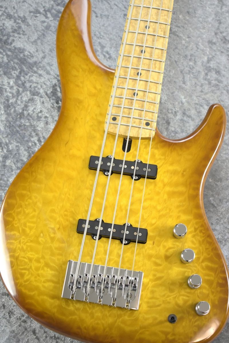 Mike Lull エレキギター