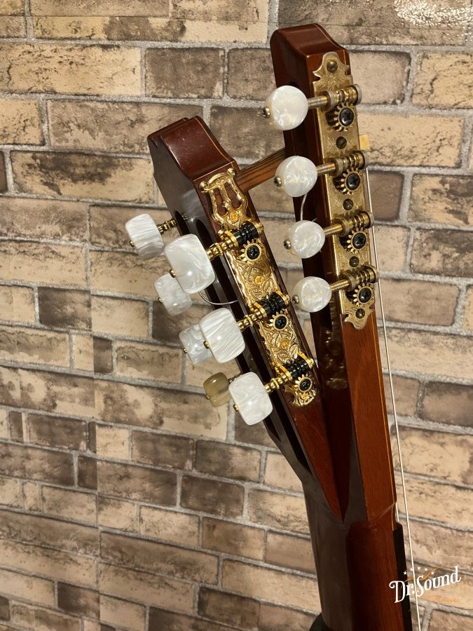 星野良充 Yoshimitsu Hoshino 11弦ギター 1982年製 | 【クロサワ楽器店