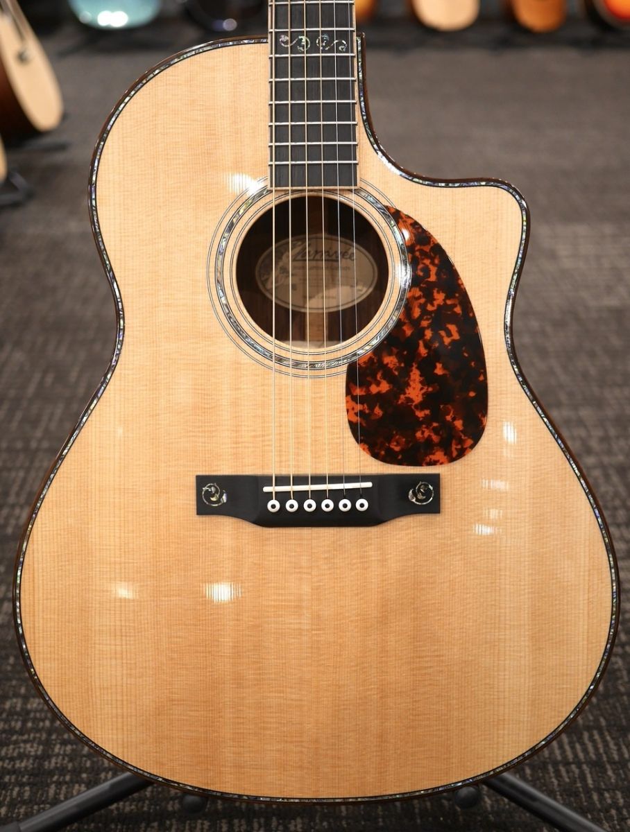 LV-10 RW #141779 | 【クロサワ楽器店オンラインショップ】いい楽器と