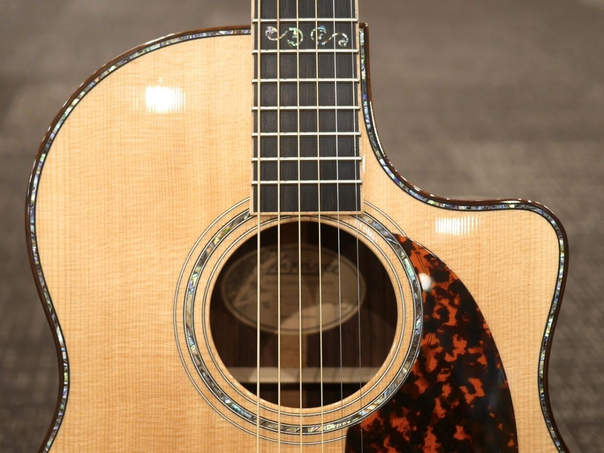 LV-10 RW #141779 | 【クロサワ楽器店オンラインショップ】いい楽器と