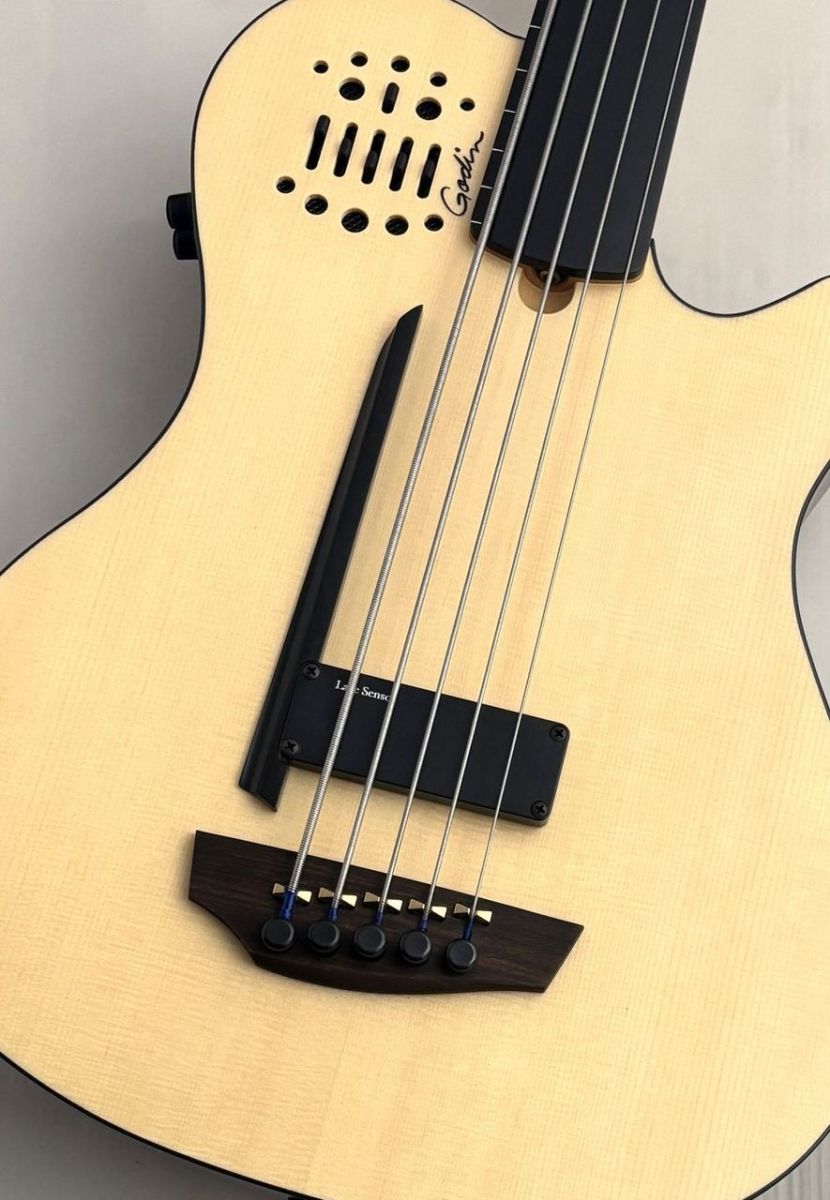 A5 Ultra Fretless AE -Natural- | 【クロサワ楽器店オンライン