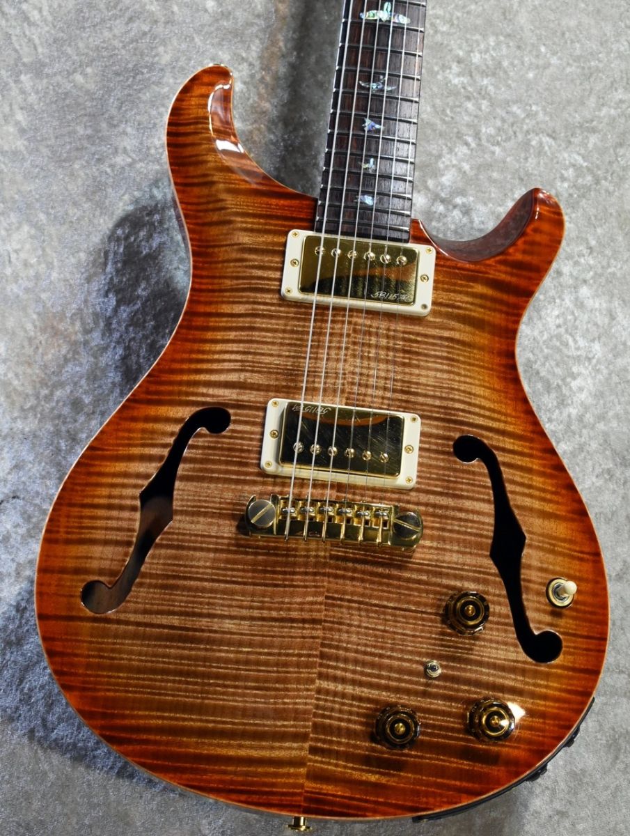 Infinite Trad ST Hollow Piezo オーダー品