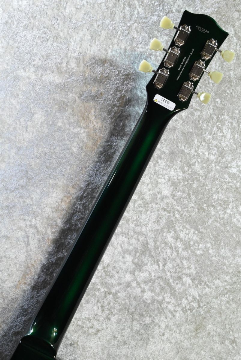 新品弦交換済み レア スポンジボブ アコースティックギター