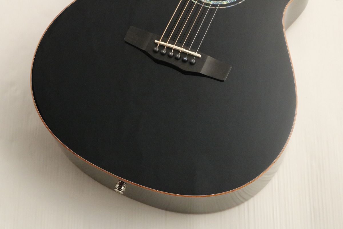 S-101Ⅲ Noire#2504003 | 【クロサワ楽器店オンラインショップ】いい