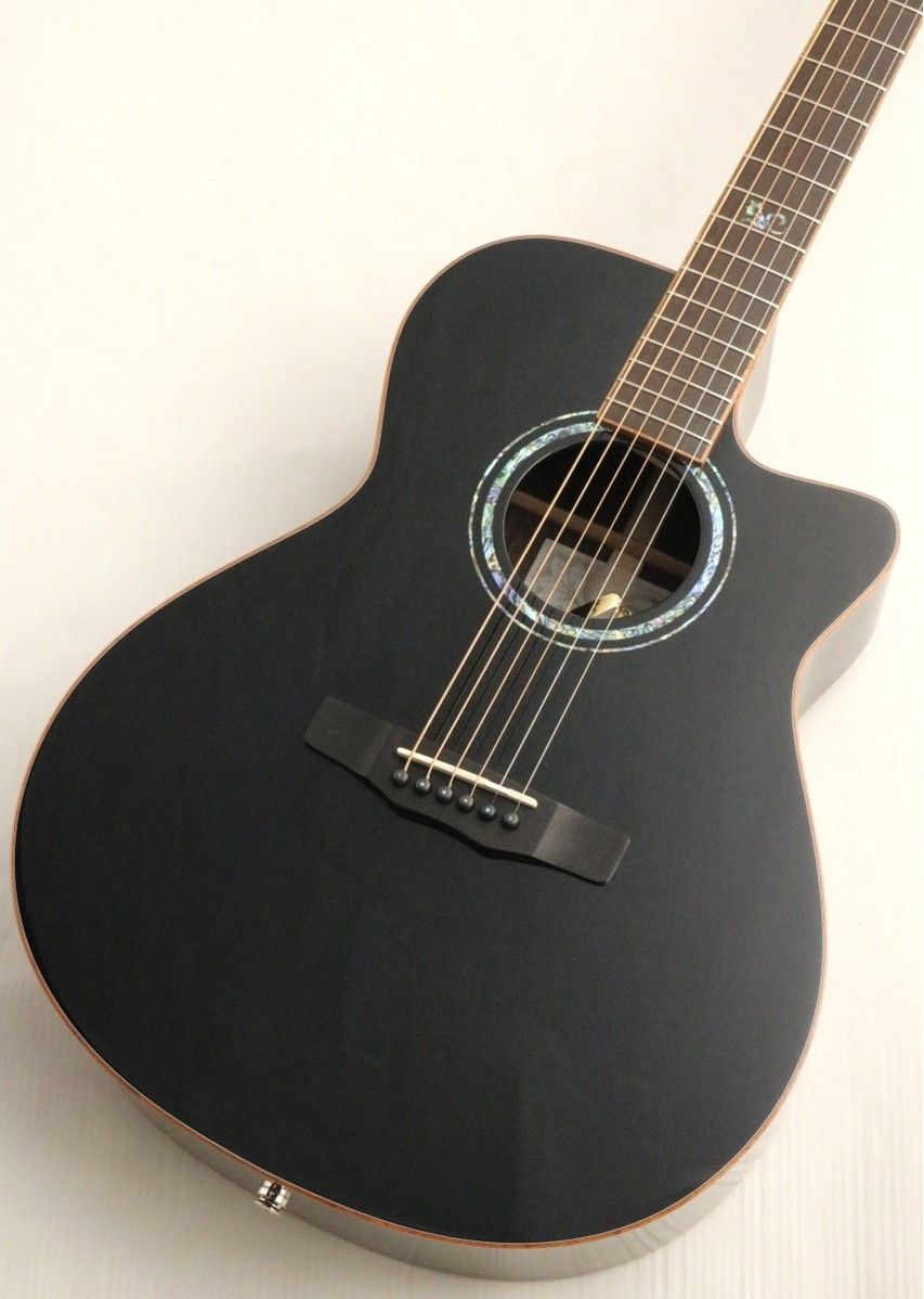 S-101Ⅲ Noire#2504003 | 【クロサワ楽器店オンラインショップ】いい