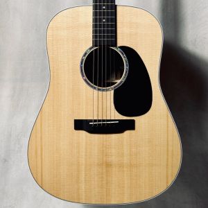 アコースティックギターマガジン連動】Standard Seriesの魅力と