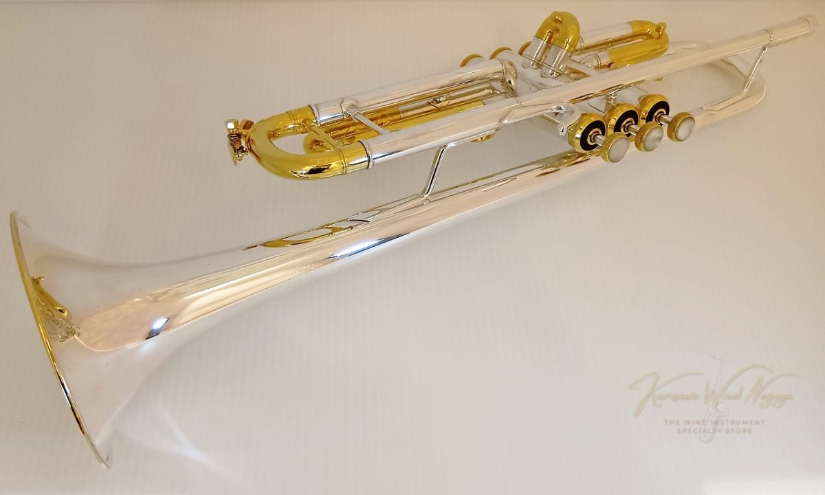 柘*榴様 ベース ObsidianWire - Traditional Vintage for Jazz Bass 250k 0.047