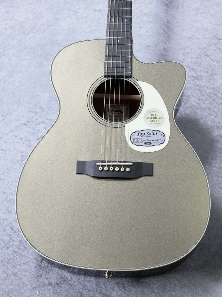 HOC-V090SE OAG | 【クロサワ楽器店オンラインショップ】いい