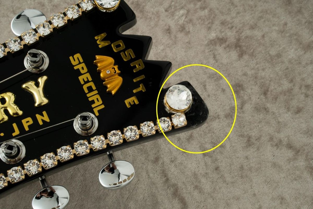 Terry Model Mark II 2024年製 | 【クロサワ楽器店オンラインショップ