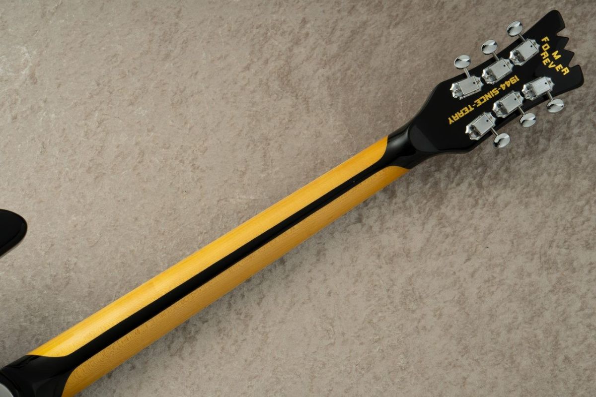 Terry Model Mark II 2024年製 | 【クロサワ楽器店オンラインショップ