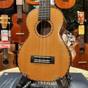Kamaka HF-2DS 【コンサートサイズ】【2019年製】