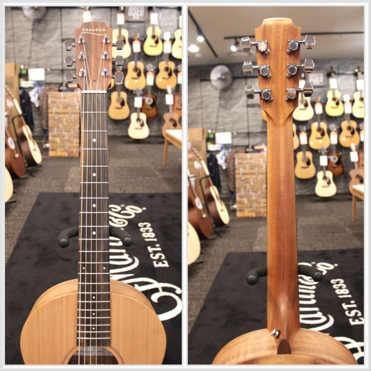 S01 Sheeran #5712 | 【クロサワ楽器店オンラインショップ】いい