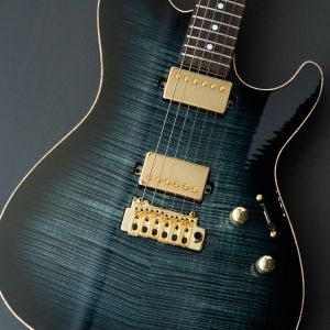 DS496 / Guitars : Sugi Japan - Sugi Guitars / スギギター