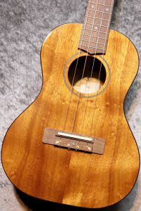 FUJIGEN(FGN)のウクレレ検索結果一覧 | 【クロサワ楽器店オンライン