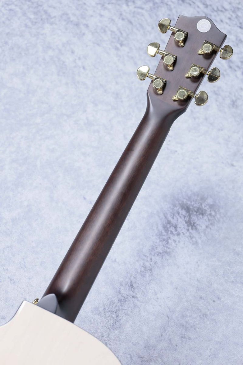 Amazon.co.jp: Headway HF-SAKURA'24 SFS/STD アコースティック