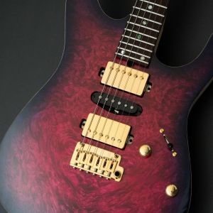 T's Guitars DST-Pro 24 5A Waterfall Burl Maple -Purple Burst / Steps White Matt Back-