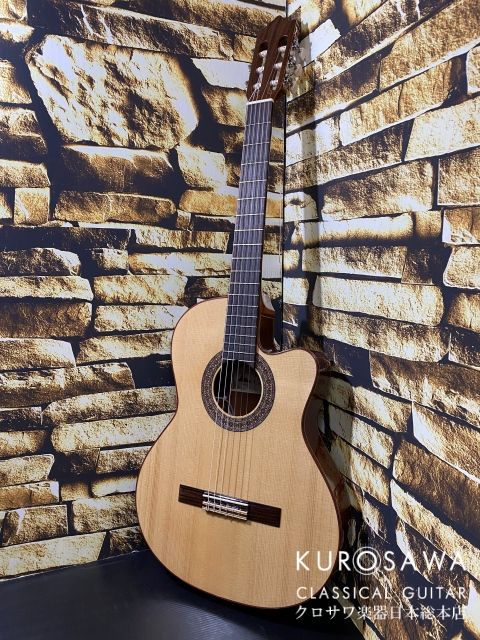 パコ・カスティージョ Model:232TE Narrow Neck/Thin Body