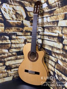 Paco Castillo パコ・カスティージョ Model:233FTE 松・メイプル Thin Body 【日本総本店2F 在庫品】