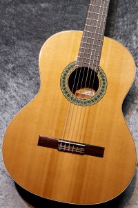 Paco Castillo / パコ・カスティージョ 【小物6点サービス!】 201 杉 / サペリ #26574 【現物写真】【スペインブランド】【池袋店在庫品】