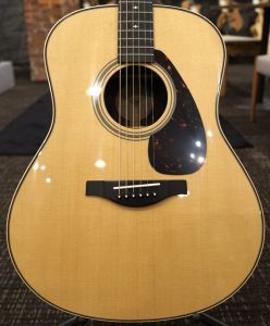 ナチュラル / 木目 系、スプルースのアコースティックギター検索