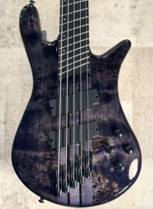 Spector 【クロサワ楽器限定品】 NS Dimension MS5 -Translucent Black- 【良杢!】【#W250012】【4.23kg】