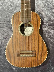 Cordoba 25SK 【アカシア】【日本総本店アコ】