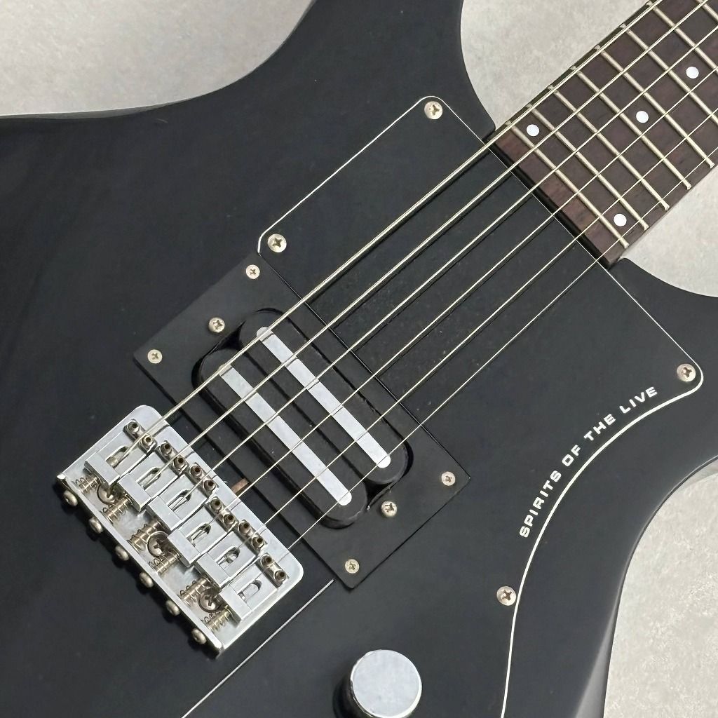 【ダダ】greco エレキギター APWシリーズ（黒） APW-500 -Real Black- | 【クロサワ楽器店オンラインショップ】いい