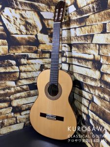 Paco Castillo パコ・カスティージョ 215FR 松・ローズウッド 【期間限定小物5点サービス】【日本総本店2F 在庫品】