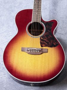 Takamine、赤 系のアコースティックギター検索結果一覧