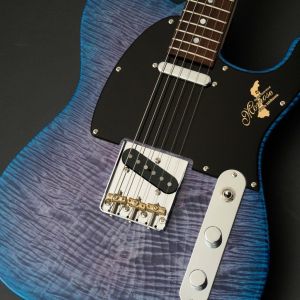 momose、青 系のエレキギター検索結果一覧 | 【クロサワ楽器店