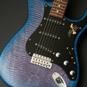 momose MC-TOCHI WSE'24/NJ -Hydrangea Blue Burst / HYD-BL-B- #19998