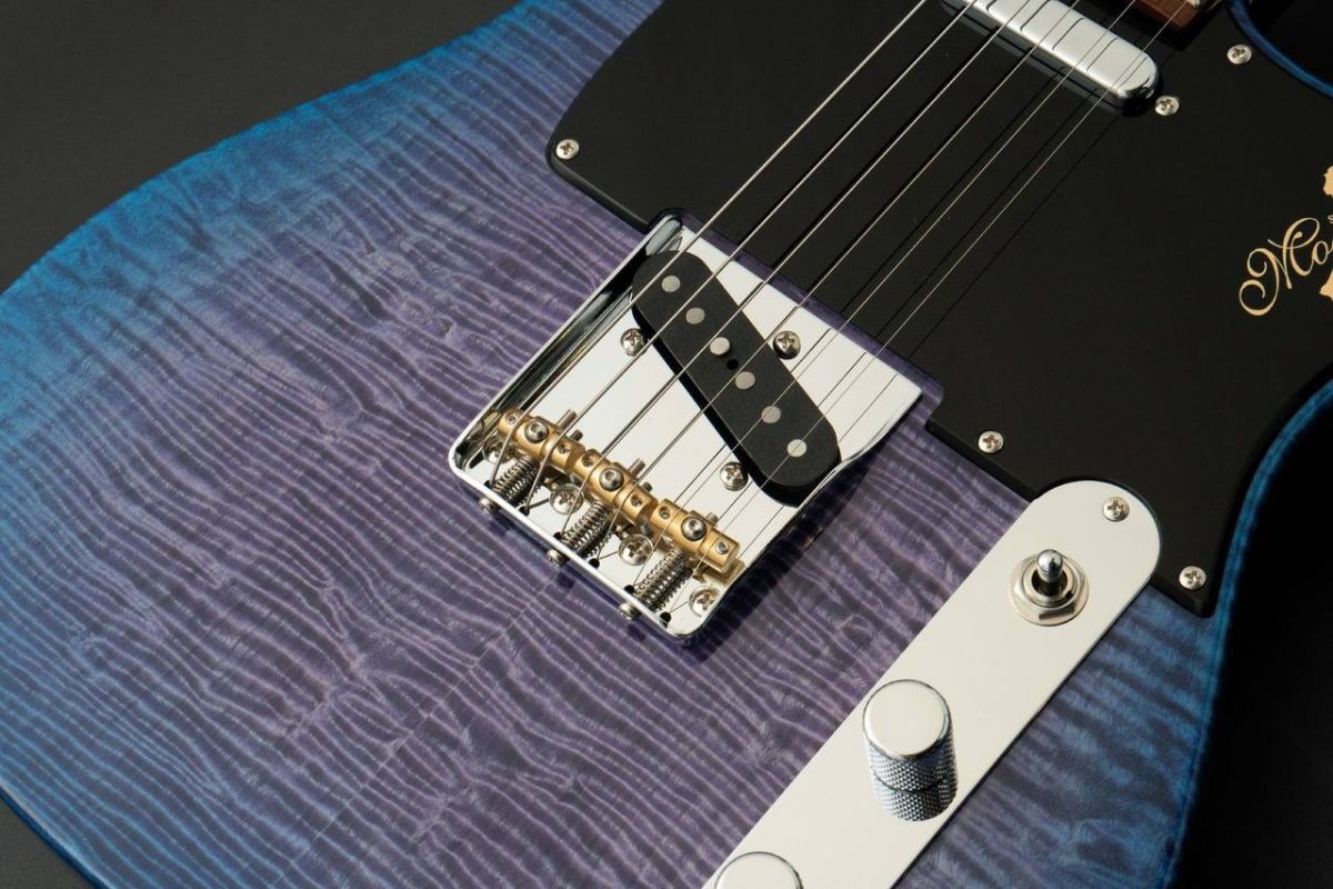 MT-TOCHI WSE'24/NJ -Hydrangea Blue Burst /HYD-BL-B- #20014