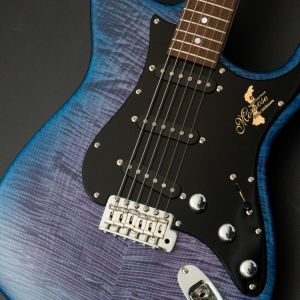 momose MC-TOCHI WSE'24/NJ -Hydrangea Blue Burst / HYD-BL-B- #19997