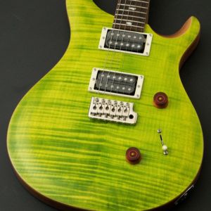 Paul Reed Smith(PRS) SE CUSTOM 24 ～Eriza Verde～ #CTIG005758 [3.44kg] 【48回無金利】【ポイント付与対象外商品】
