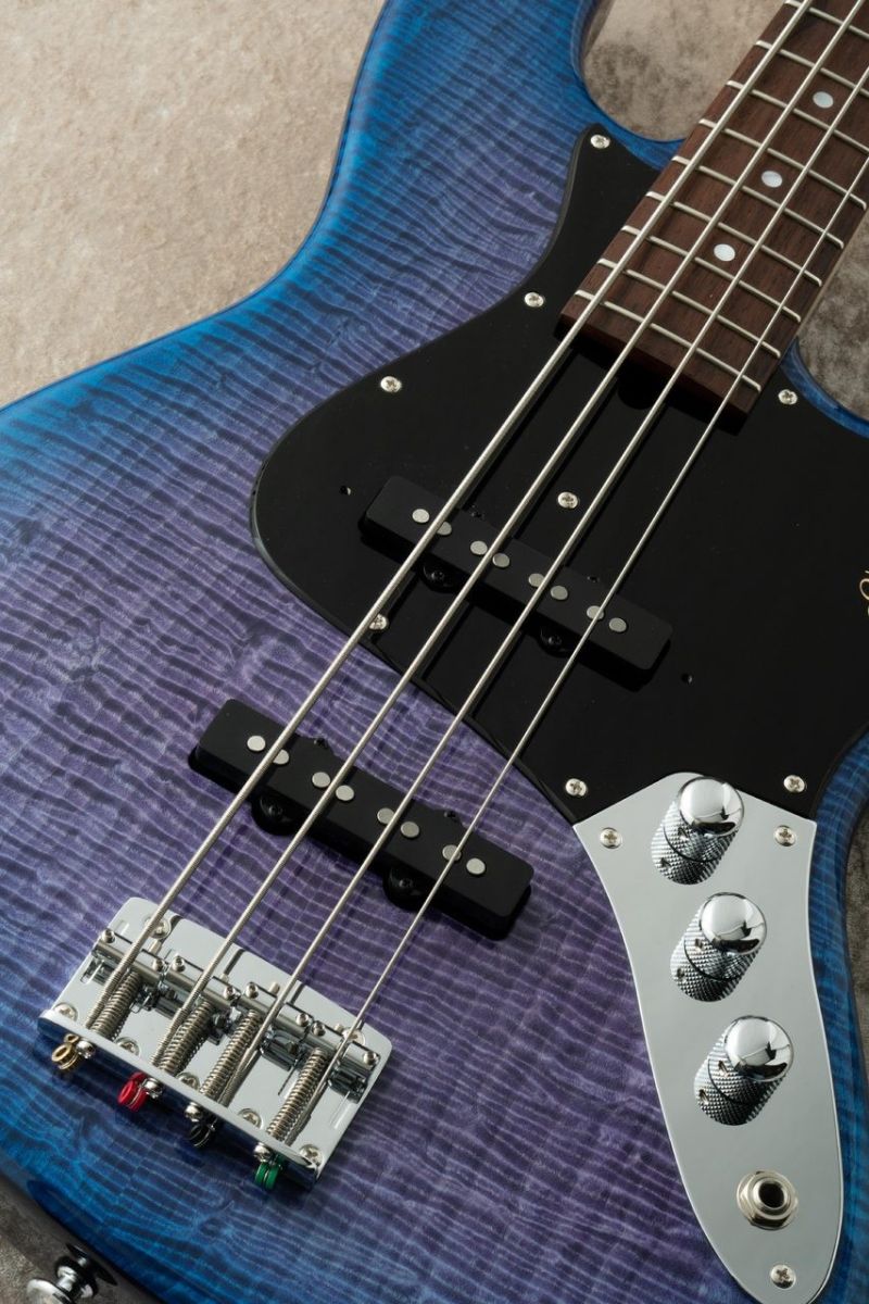 MJ-TOCHI WSE'24/NJ -Hydrangea Blue Burst / HYD-BL-B- #20089