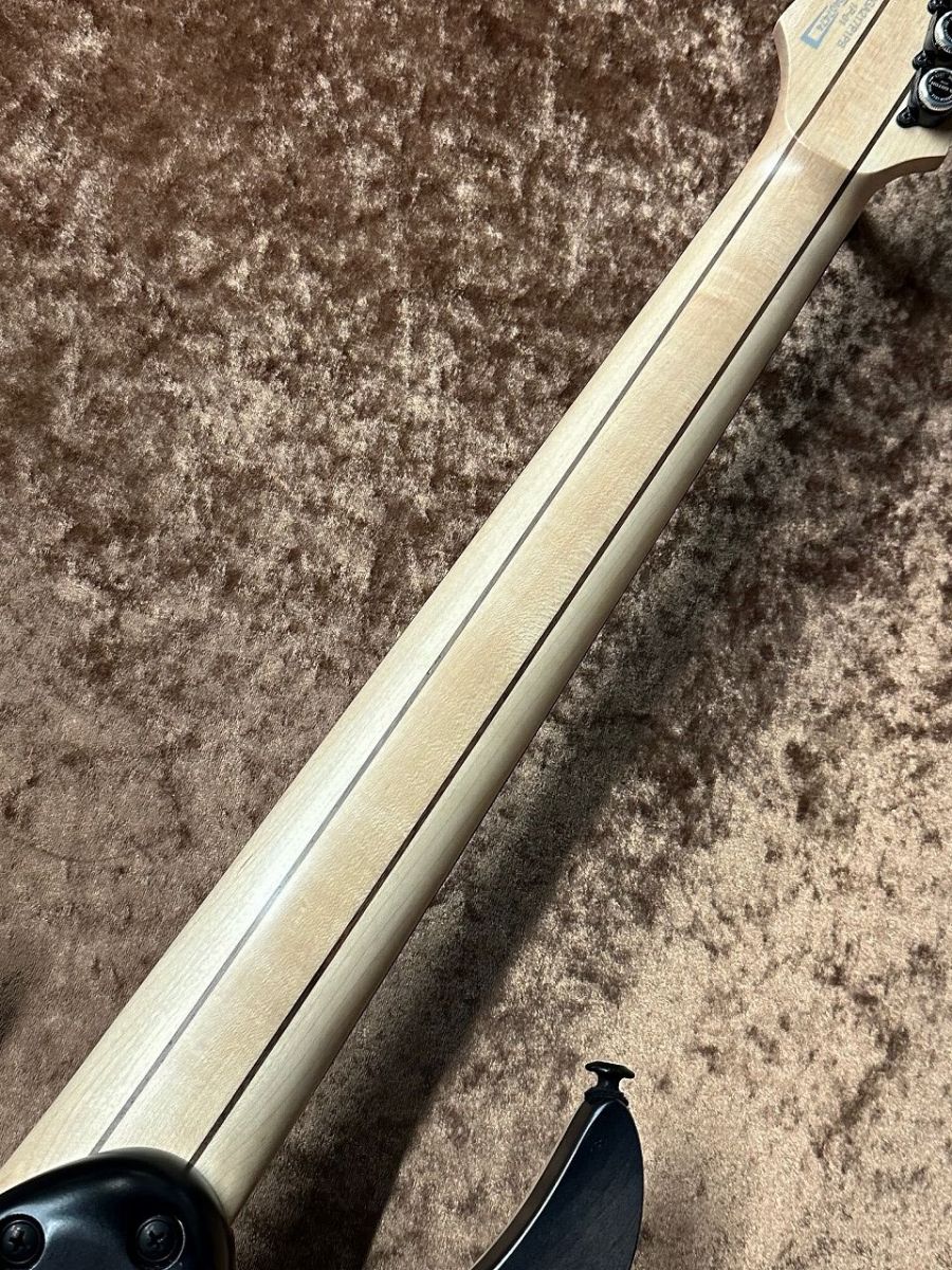 RGA217P1PB -Deep Twilight Burst Low Gloss- | 【クロサワ楽器店