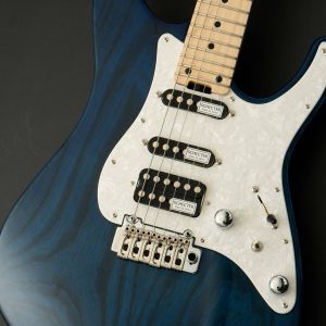 FERNANDES dragonfly ssh 24F フレット新品 FERNANDES dragonfly ssh 24F フレット新品 FERNANDES dragonfly