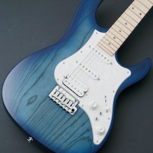 フジゲン × クロサワ楽器　ストラトキャスター エレクトリックギター、FUJIGEN(FGN)のエレキギター検索結果一覧