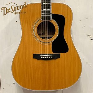 アコースティックギター ドレッドノートタイプ Headway ヘッドウェイ アコースティックギター ドレッドノート