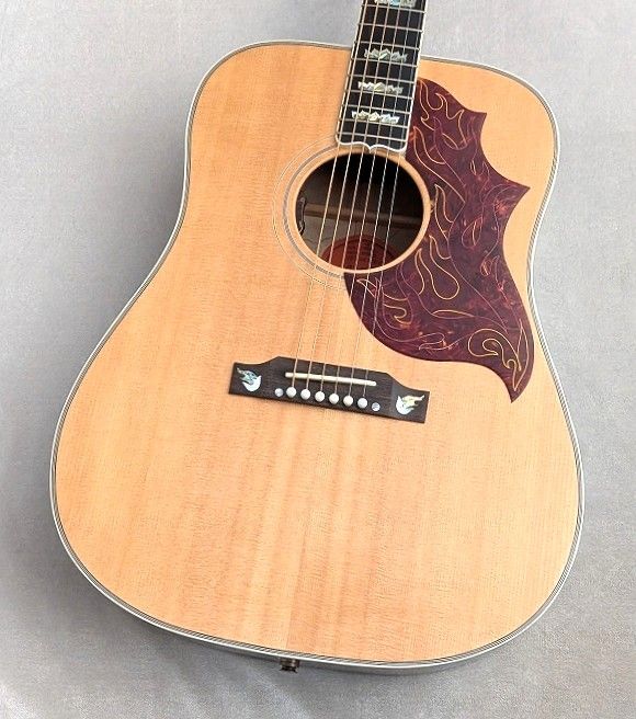 Firebird | 【クロサワ楽器店オンラインショップ】いい楽器との