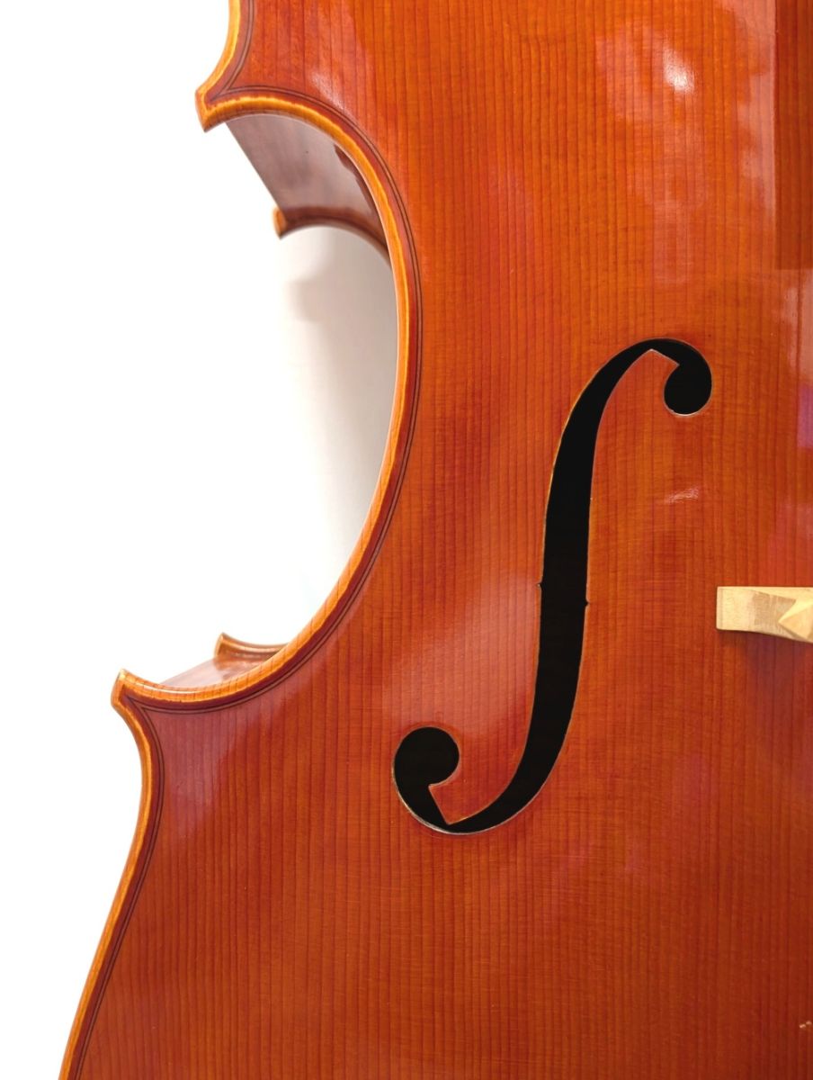 Francesco Bissolotti 2004年 Montagnana (フランチェスコ