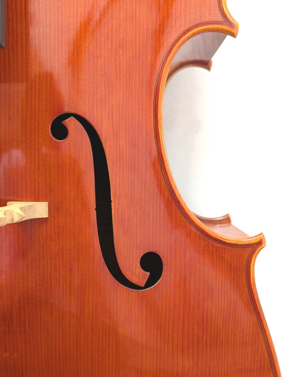 Francesco Bissolotti 2004年 Montagnana (フランチェスコ