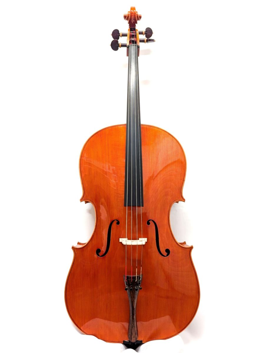 Francesco Bissolotti 1999年 Montagnana (フランチェスコ