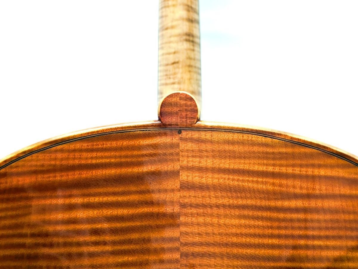 Francesco Bissolotti 1999年 Montagnana (フランチェスコ