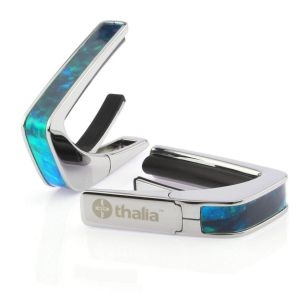【付属品】ストラップ、カポタスト カポタストの弦・アクセサリー・パーツ検索結果一覧