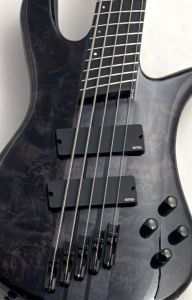 Spector、スルーネックのベース検索結果一覧 | 【クロサワ楽器店