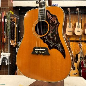 Epiphone ドレッドノート アコースティックギター Epiphone、ドレッドノート タイプのアコースティックギター検索