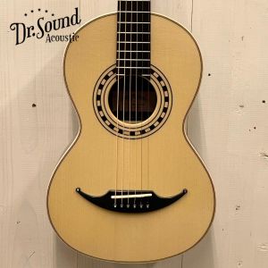 AVALON GUITARS 【決算セール～8/31まで】 P4-325 《Adirondack Spruce × Madagascar Rosewood》#2504 【無金利分割OK】